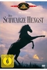 Der schwarze Hengst