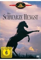 Der schwarze Hengst