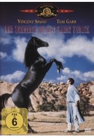 Der schwarze Hengst kehrt zurück