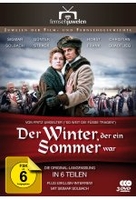 Der Winter,  der ein Sommer war/Fernsehjuwelen [4 DVDs]