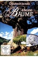Deutschlands älteste Bäume