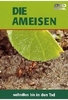 Die Ameisen - Selbstlos bis in den Tod