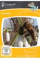 Die Biene