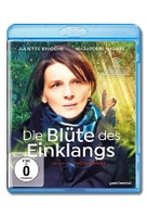 Die Blüte des Einklangs