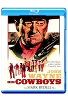Die Cowboys