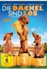 Die Dackel sind los