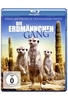 Die Erdmännchen Gang