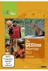Die GEOlino Reportage Vol. 5