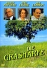 Die Grasharfe