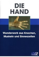Die Hand - Wunderwerk aus Knochen,  Muskeln. ..