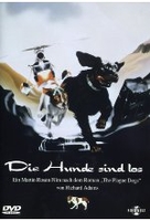 Die Hunde sind los
