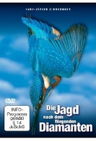 Die Jagd nach dem fliegenden Diamanten - Faszination Eisvogel