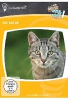 Die Katze