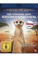 Die Königin der Erdmännchen