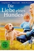 Die Liebe eines Hundes