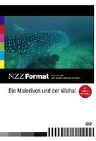 Die Malediven und der Walhai - NZZ Format
