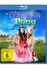 Die Prinzessin und das Pony