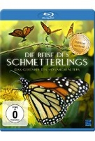 Die Reise des Schmetterlings - Das Geheimnis des Monarchfalters