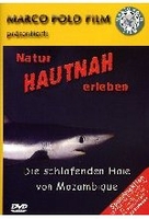 Die schlafenden Haie von Mozambique