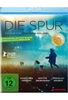 Die Spur