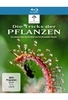 Die Tricks der Pflanzen