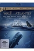 Die Wale von Atlantis - Auf der Suche nach Moby Dick