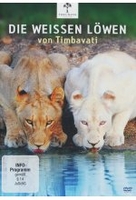Die weißen Löwen von Tinmbavati