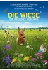 Die Wiese - Ein Paradies nebenan