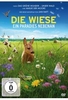 DIE WIESE - Ein Paradies nebenan