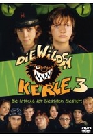 Die wilden Kerle 3
