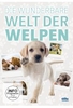 Die wunderbare Welt der Welpen