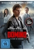 Domino - A Story of Revenge