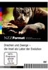 Drachen und Zwerge - NZZ Format