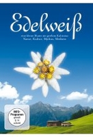Edelweiß - Eine kleine Blume mit großem Kultstatus