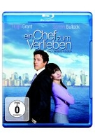 Ein Chef zum Verlieben