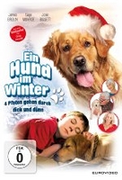 Ein Hund im Winter