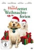 Ein Hund rettet die Weihnachtsferien