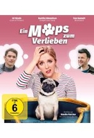 Ein Mops zum Verlieben