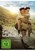 Ein Sack voll Murmeln