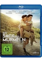 Ein Sack voll Murmeln