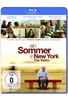 Ein Sommer in New York - The Visitor