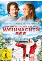 Ein Wunder am Weihnachtssee