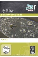 Einzeller und Vielzeller