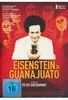 Eisenstein in Guanajuato
