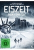 Eiszeit - New York 2012