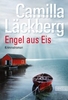 Engel aus Eis - Ein Falck-Hedström-Krimi Band 5