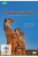 Erdmännchen - Wächter der Wüste im Team