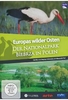 Europas wilder Osten - Biebrza in Polen