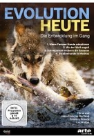 Evolution heute: Die Entwicklung im Gang