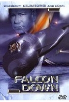 Falcon Down